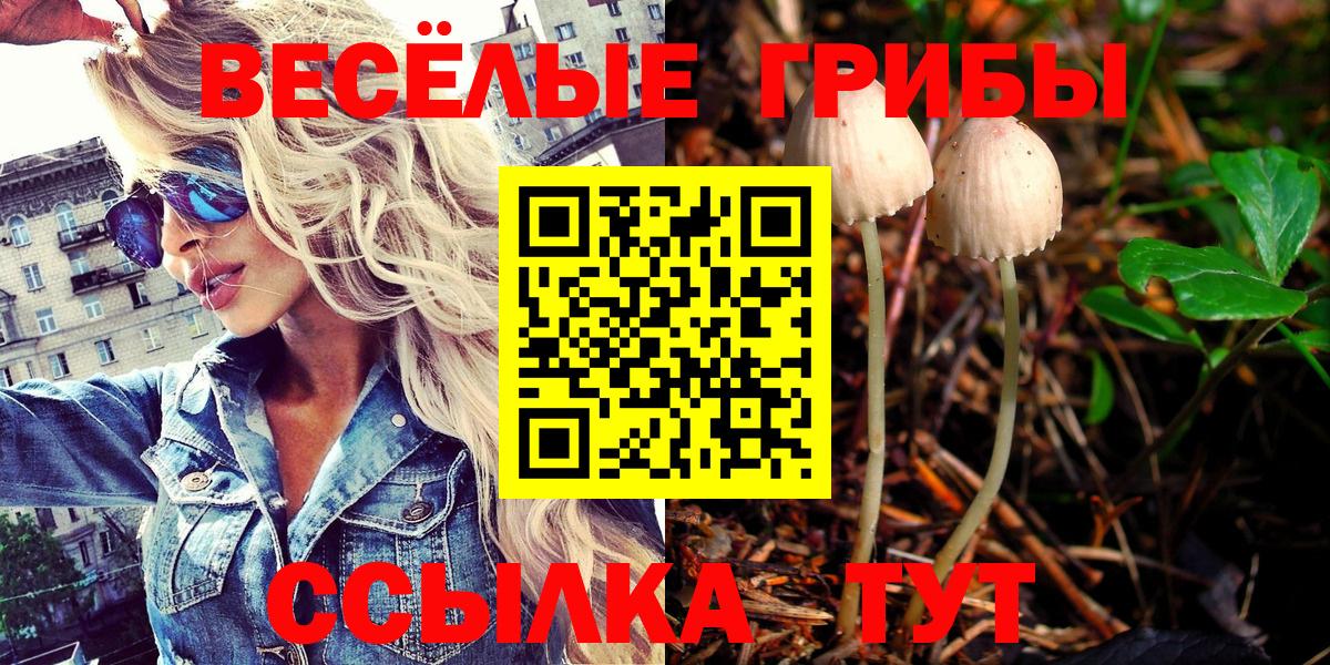 Галлюциногенные грибы MAGIC MUSHROOMS  Вход с VPN  Коломна 